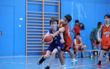 31.05.2025, Graz, Bluebox Arena, Basketball, Final Weekend 24/25, XU12 - UBSC vs. Dunkers